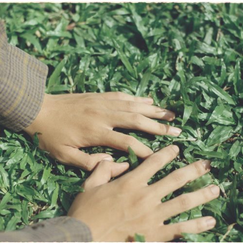 pexels-the-hien-bui-15498006